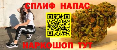 прущие грибы Дубна