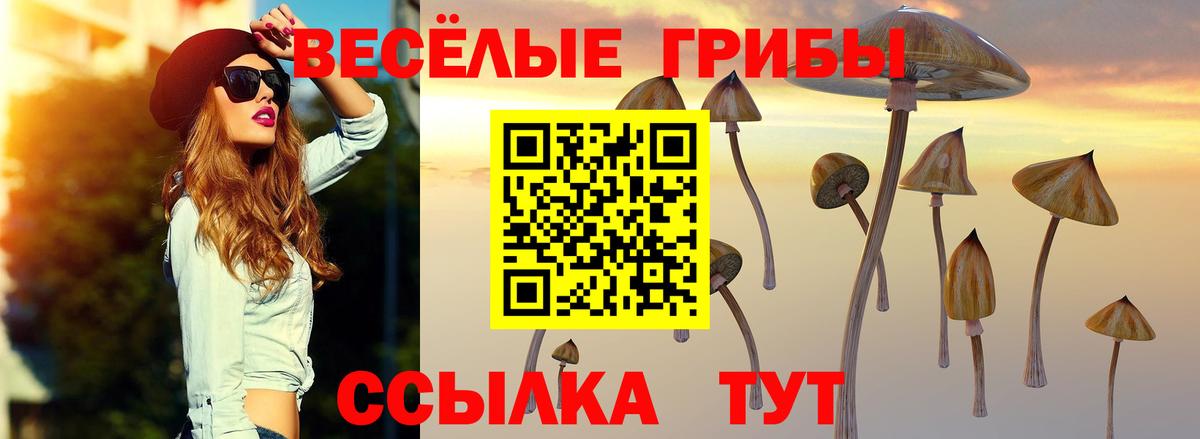 Галлюциногенные грибы мухоморы Майкоп